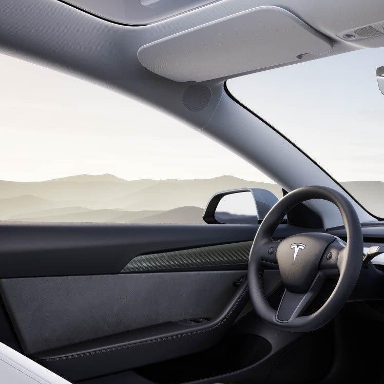 Carbone Prestige 2017-2023 Tesla Model 3 & Y Carbon Fiber Door Trim